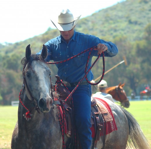 Horseback riding is a great weekend activity.