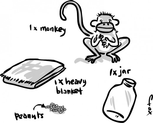 Monkey catch essentials.