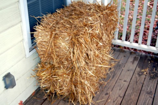 My wife learned the difference in a hay bale and a straw bale today :-)