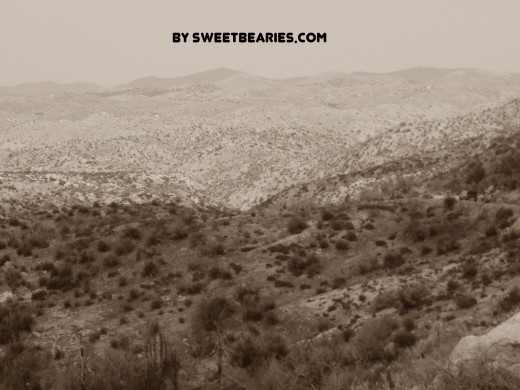 The beauty of walking through the desert side of the San Bernardino Mountains.