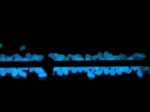 Glow in the Dark Pebbles