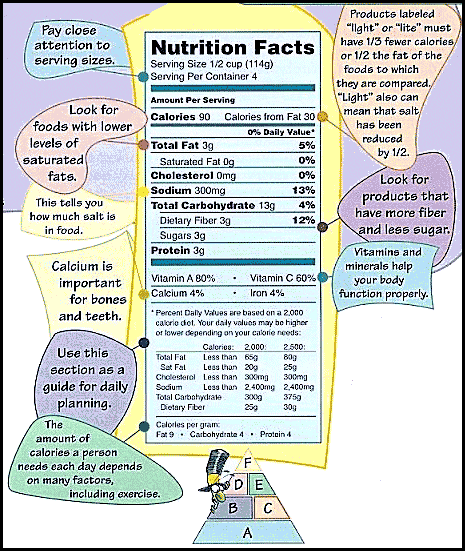 Food provides your body with all of the materials it needs to grow, and to be healthy and active.