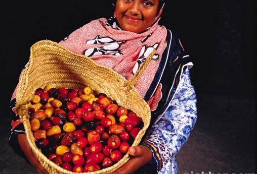 Young girl displaying fresh dates ready to eat