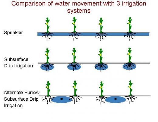 3 examples of irrigation techniques