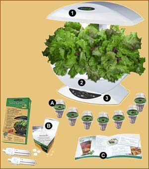 This smaller aero garden that can grow herbs is displayed with all the necessary parts. This is a hydroponic system.