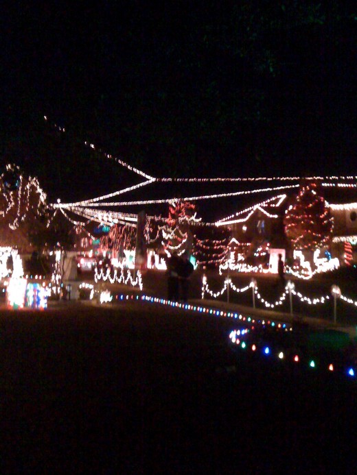 An entire cul-de-sac of Christmas decorations with a theme.