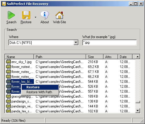 Soft perfect file recovery