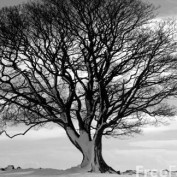 livinfree147 profile image