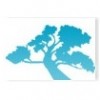 The Soothing Co profile image
