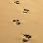 BarefootAdventure profile image