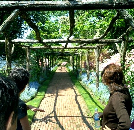 Walking in a Garden