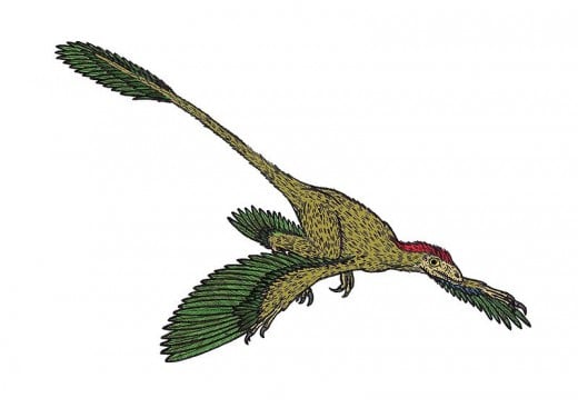 Illustration of the dromaeosaurid dinosaur Microraptor.