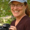 rboehm profile image