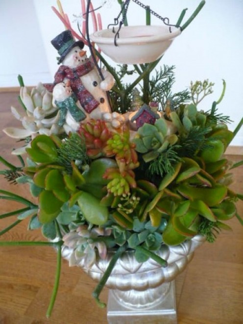 Succulents are long lasting....may the joy of Christmas last long after the season is over.