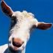Touring Scotland profile image