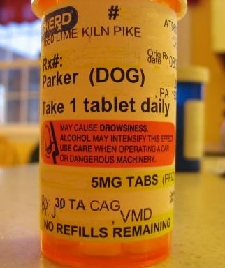 Anyone else notice that this medication is for a dog? I don't think he should be driving regardless of medication.