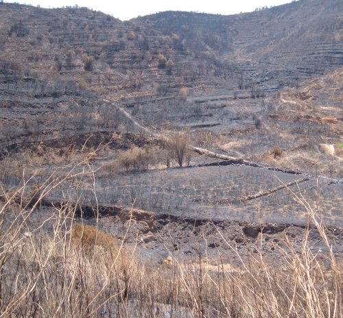 Burnt valley and mountains