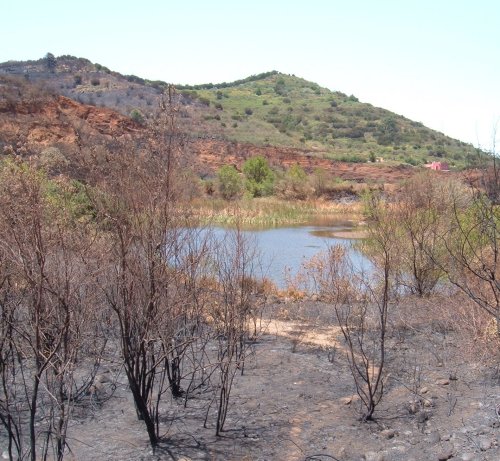 Showing what the fire missed