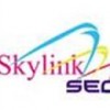 skylinkseo profile image