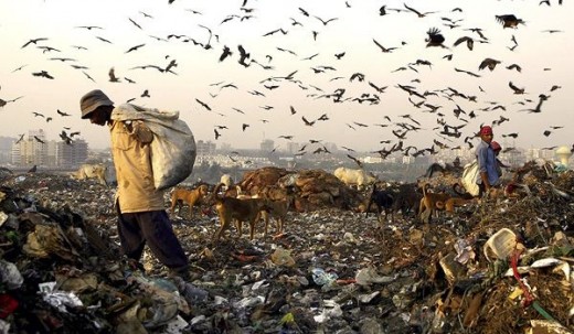 New Delhi Garbage Dump