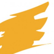 transcription profile image