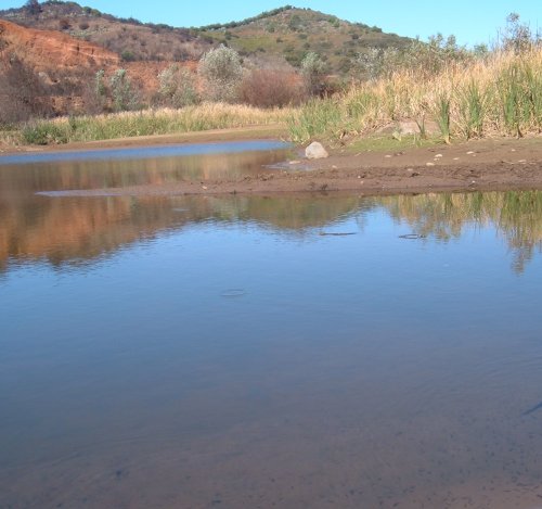 Erjos ponds Photo by Steve Andrews
