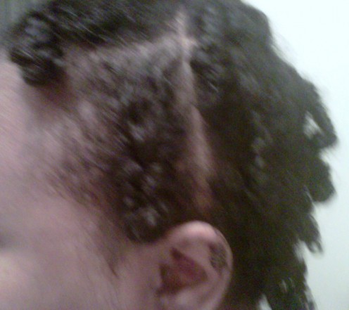 Washed, two-strand twisted hair