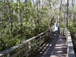 Cape Cod Walking