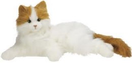 https://usercontent2.hubstatic.com/4333437_f260.jpg