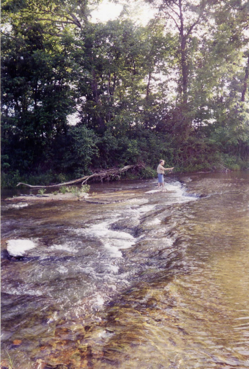 Fly Fishing Made Easy in Missouri