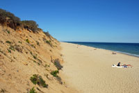 Cape Cod beach.
