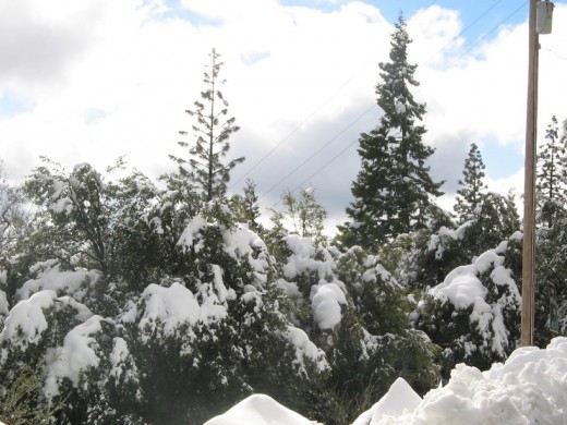 new snowfall