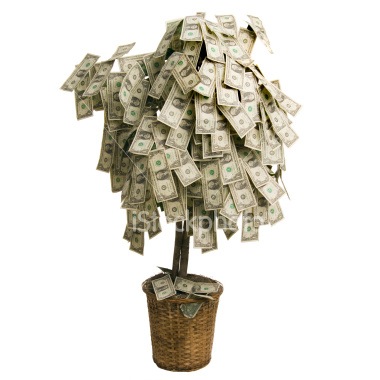Grow Your Own Money Tree