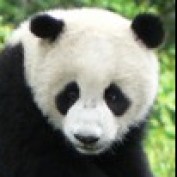 onetourchina profile image