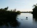 Walks on Cape Cod