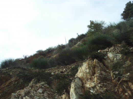 A cliff above Highway 18 with many interesting rocks and bushes.  A net is used to keep the rocks from sliding off the hillside.