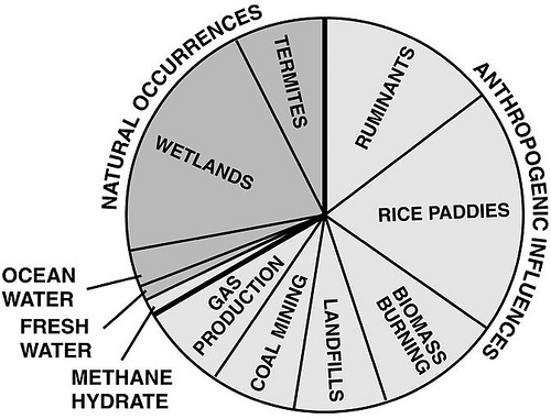 What causes methane gas?  The chart above from the US Department of Energy Technology Laboratory illustrate the sources of man-made and natural occurrences of methane.  