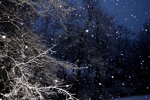 I took this last night as a quick snow shower came through.  The weather men failed to tell anyone about snow for the day.