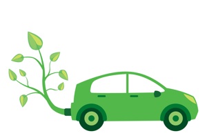 Eco-friendly cars can be obtained at a low cost using government rebates.
