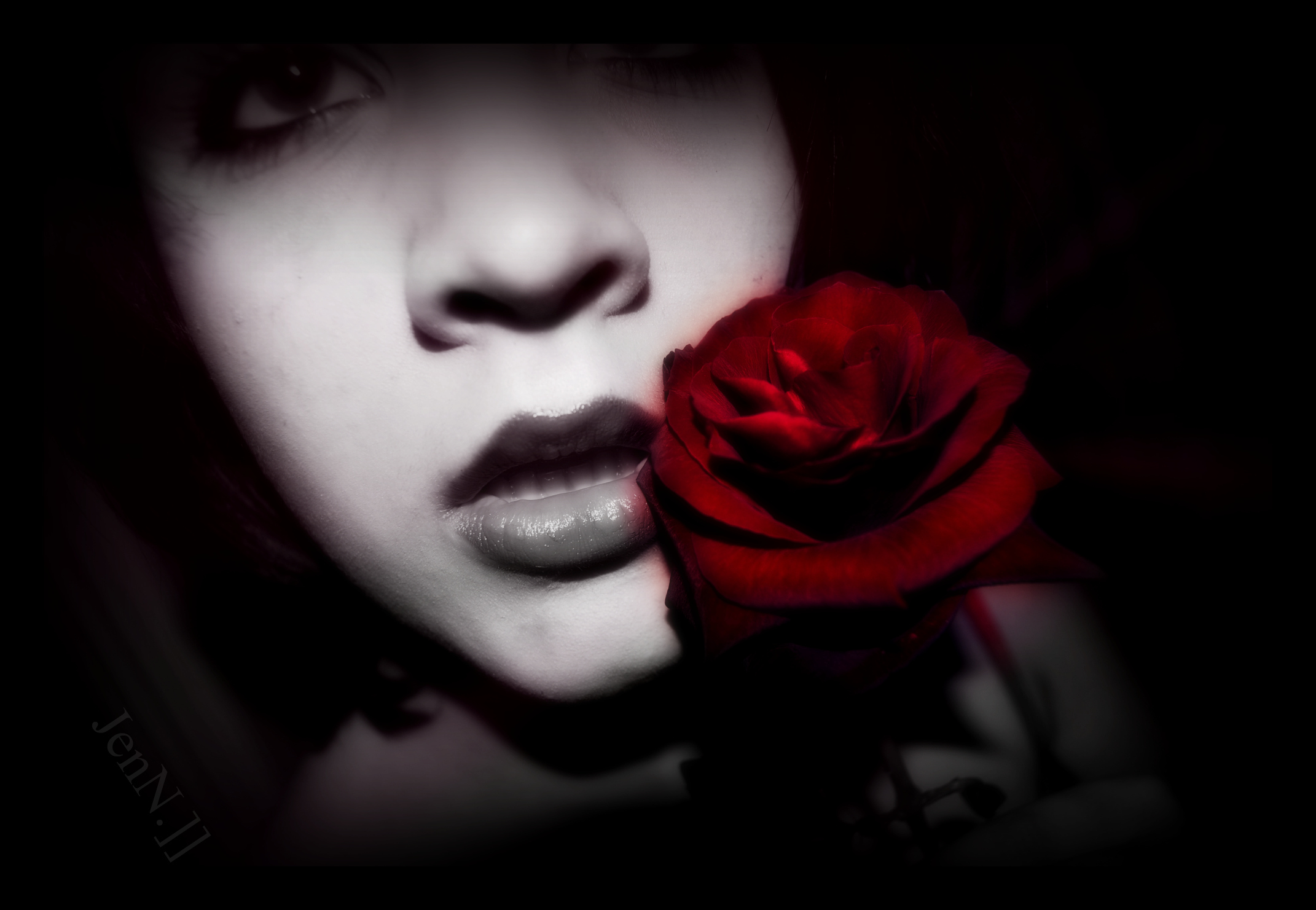 HubPages profile picture for @jenn