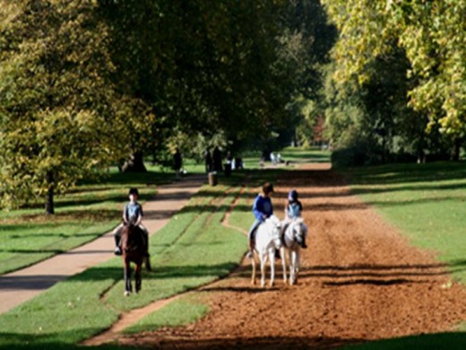 Horse riding in Hyde Park