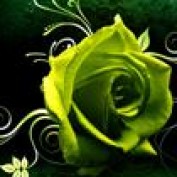 cyberstudent99 profile image
