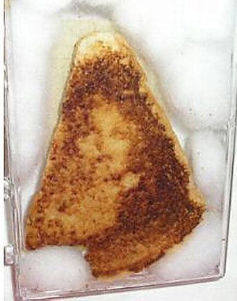 A seller offered a grilled cheese sandwich upon which the Virgin Mary had appeared to her  and the strange thing is, she genuinely seemed to believe it. This item, unbelievably, sold for $28,000. Some people just have too much money to waste, dont th