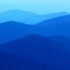 dapo889 profile image