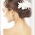 Smooth low bun Smooth low bun