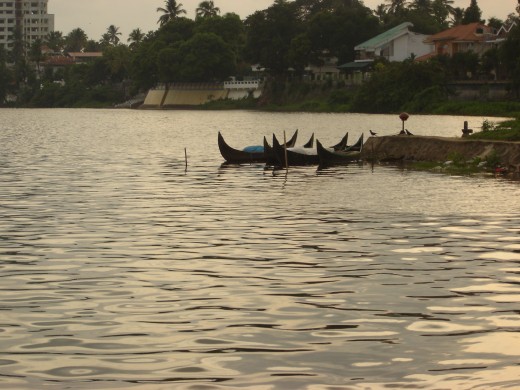River Periyar