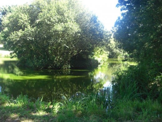 Les Rouvets Coarse Fishing Lake