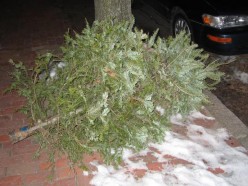 Tales from an Innkeeper's crypt: Finally...the tree's down