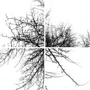 thesimplefineline profile image