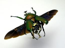  Weighing only 60 milligrams, with a wingspan of three centimeters, robo-flys tiny movements are modeled on those of a real fly. While much work remains to be done on the mechanical insect, the Harvard researchers say that such small flying machines